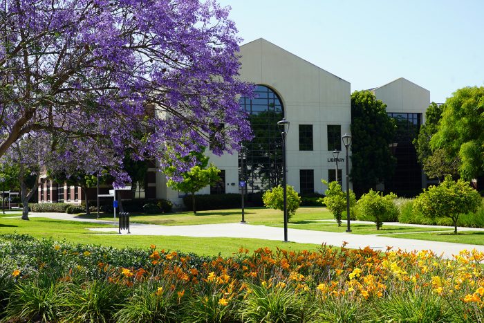 Irvine Valley College